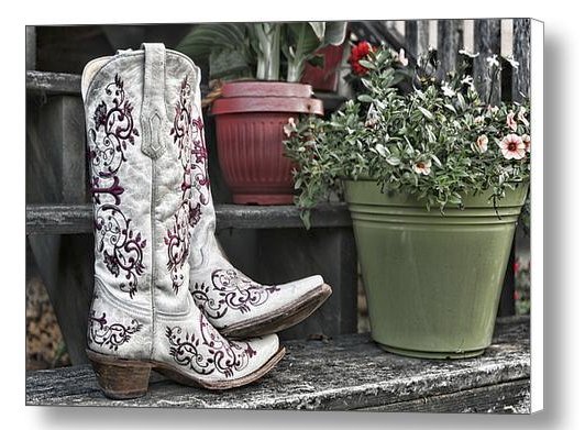 Farm Country Americana
