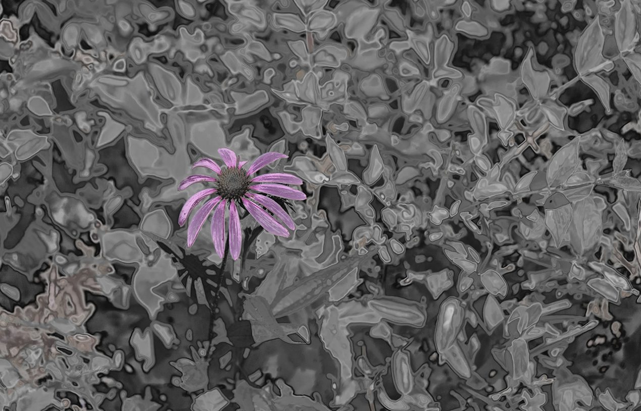 Leaving the Comfort Zone