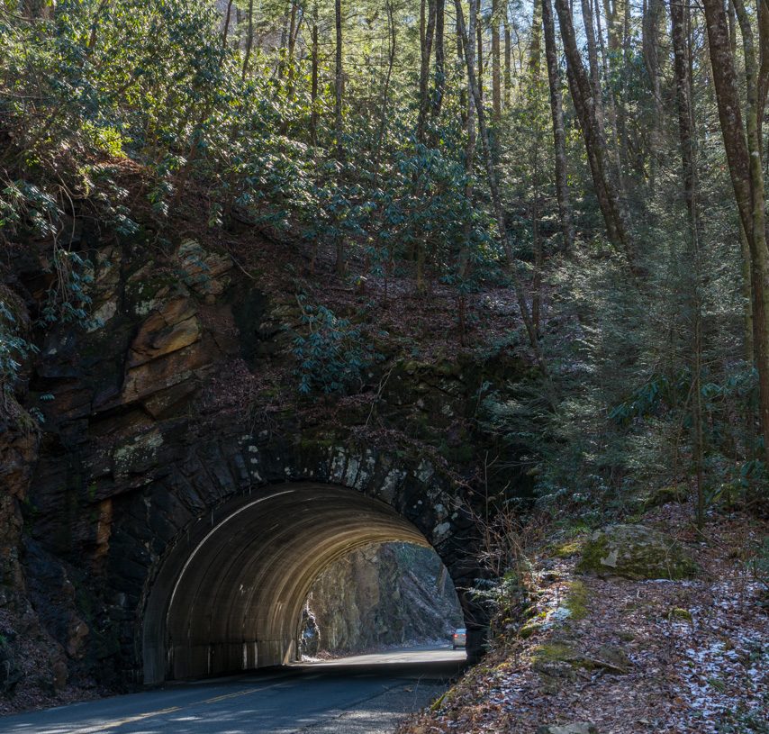 Tuesday Trekkin’ Cades Cove and Elkmont