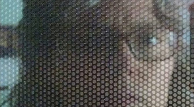 Selfie Reflections