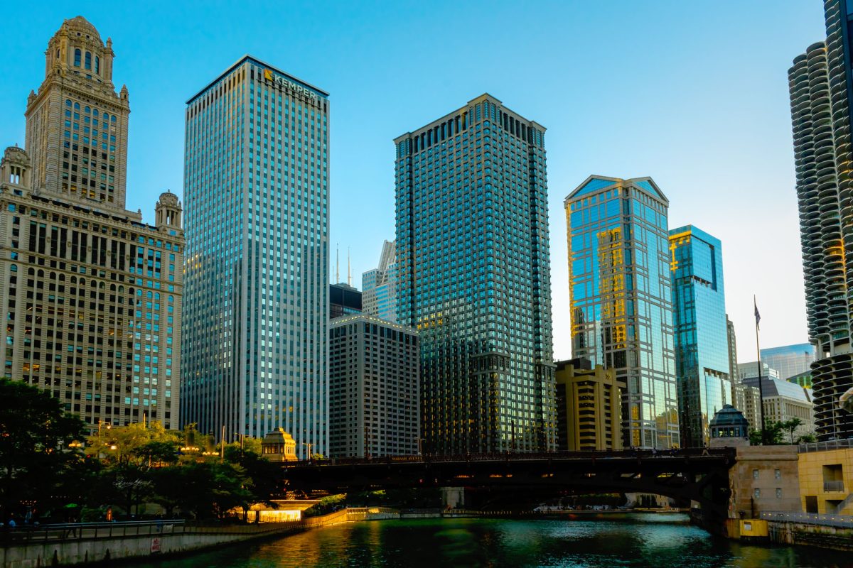 Chicago Images Purple Rosemary