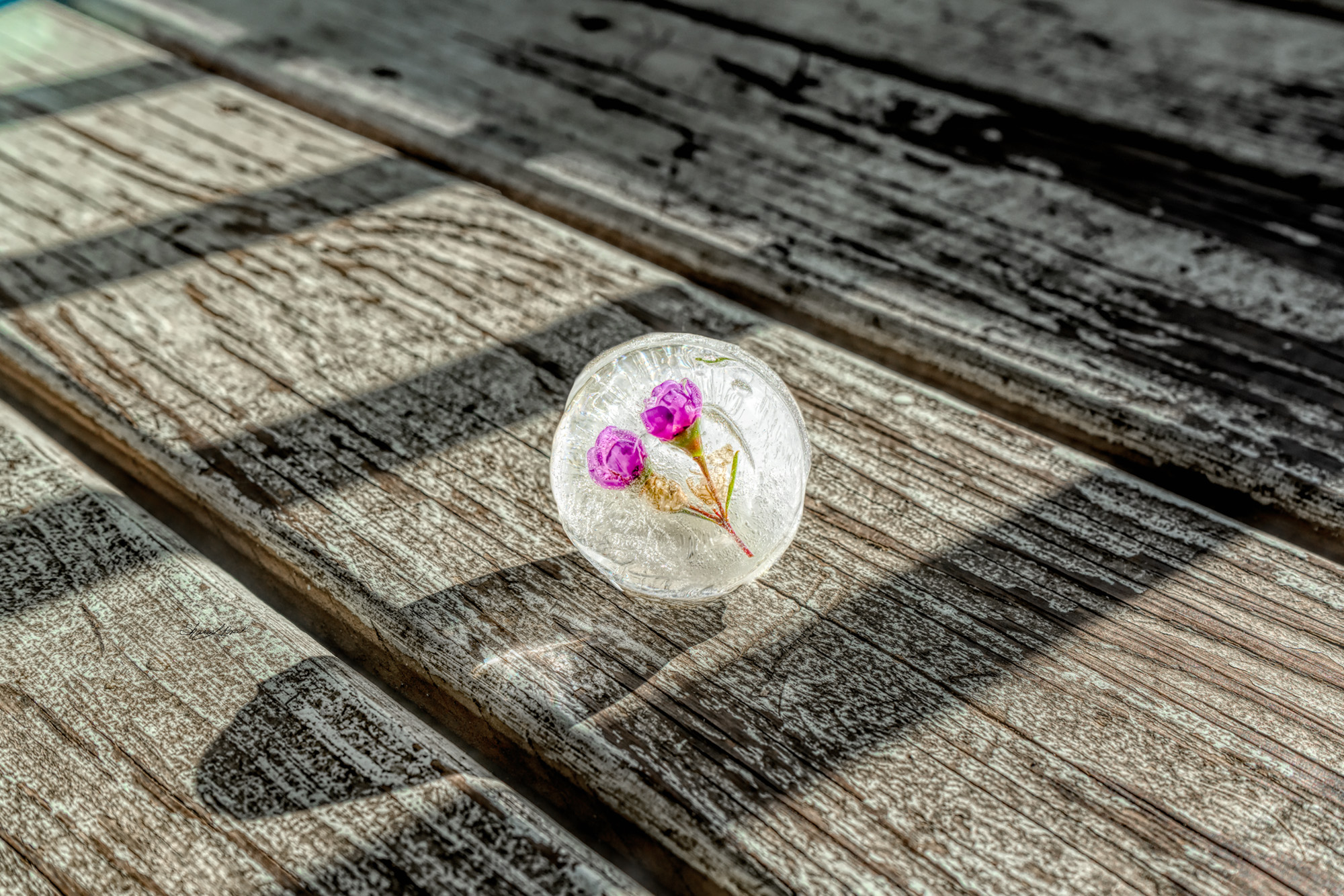 Ice, Ice, Baby