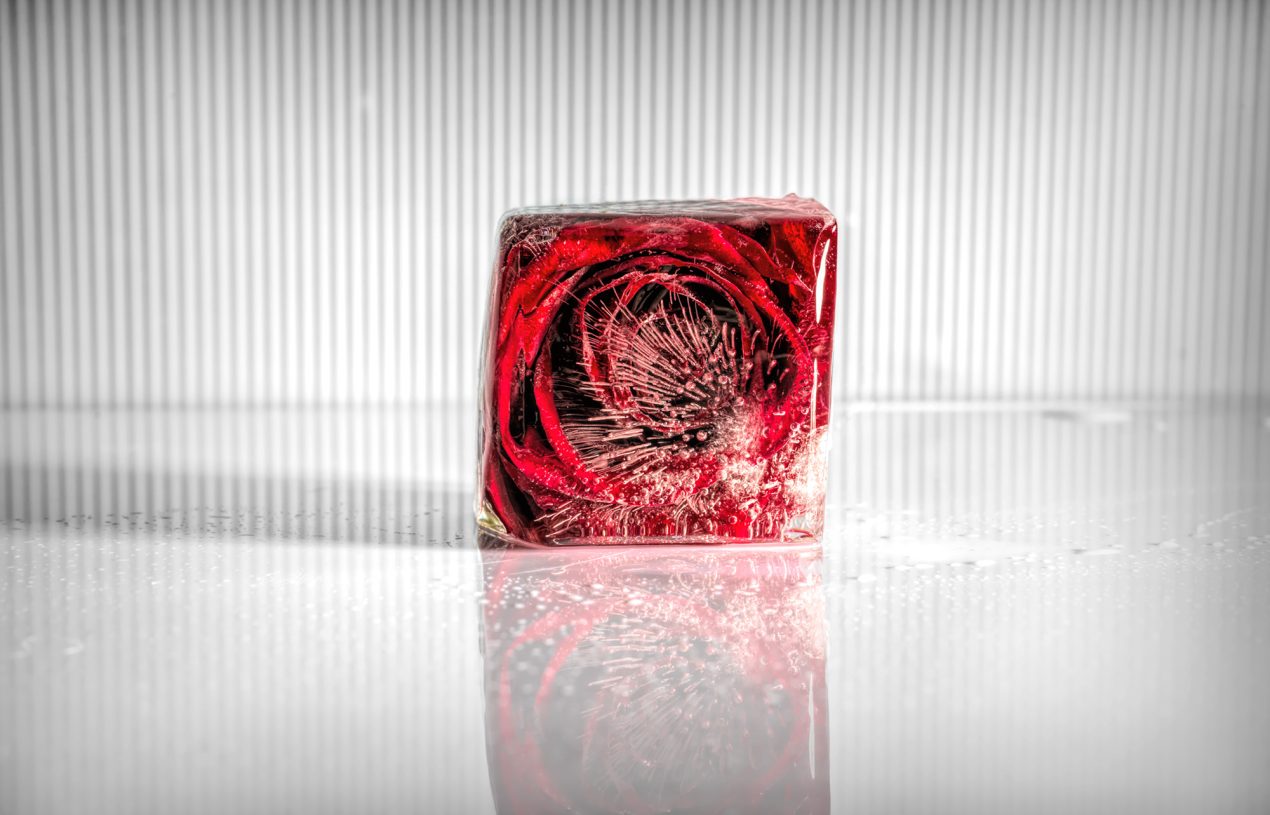 When Roses Go On Sale